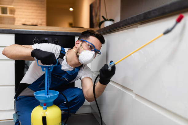 Best Rat Extermination Near Me  in Apple Valley, MN