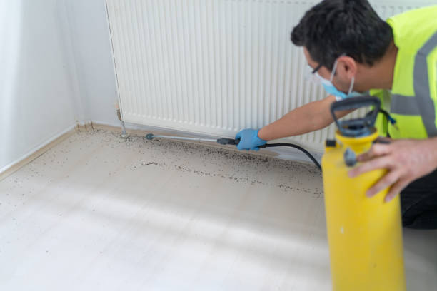 Best Rat Extermination Near Me  in Apple Valley, MN